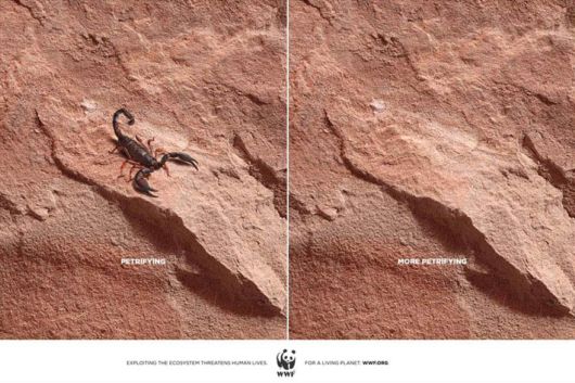 Animal Ad Campaigns That Tell The Uncomfortable Truth