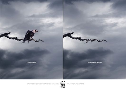 Animal Ad Campaigns That Tell The Uncomfortable Truth