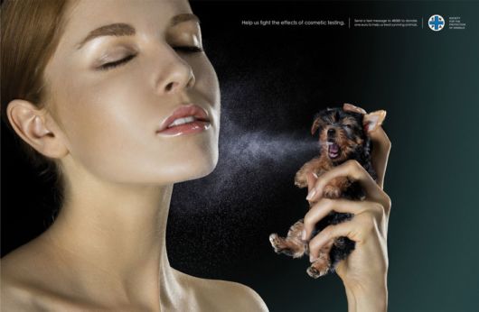 Animal Ad Campaigns That Tell The Uncomfortable Truth