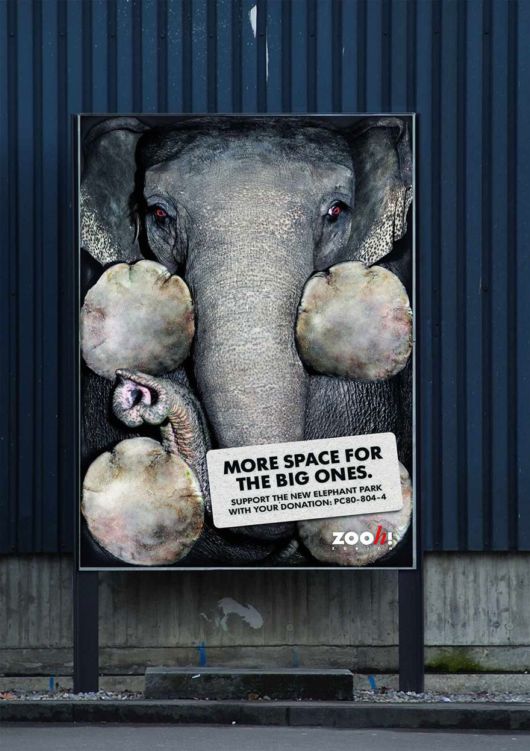 Animal Ad Campaigns That Tell The Uncomfortable Truth
