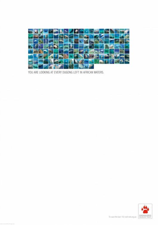 Animal Ad Campaigns That Tell The Uncomfortable Truth