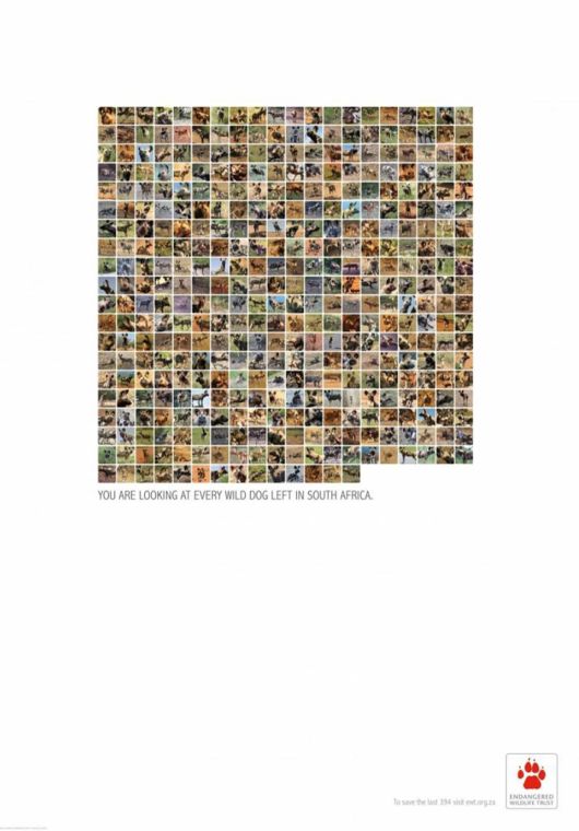 Animal Ad Campaigns That Tell The Uncomfortable Truth