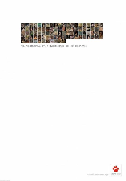 Animal Ad Campaigns That Tell The Uncomfortable Truth