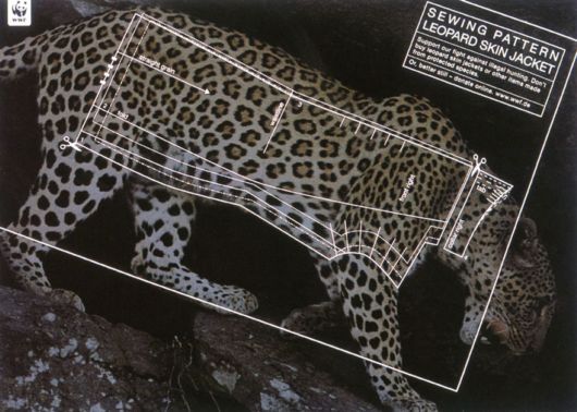 Animal Ad Campaigns That Tell The Uncomfortable Truth