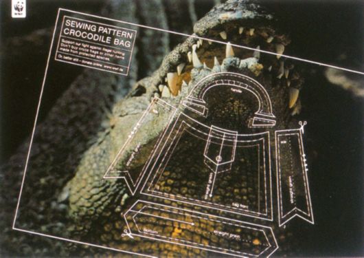 Animal Ad Campaigns That Tell The Uncomfortable Truth