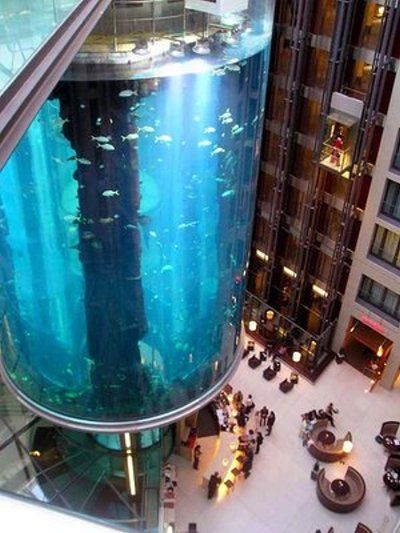 Amazing AquaDom Aquarium in Berlin