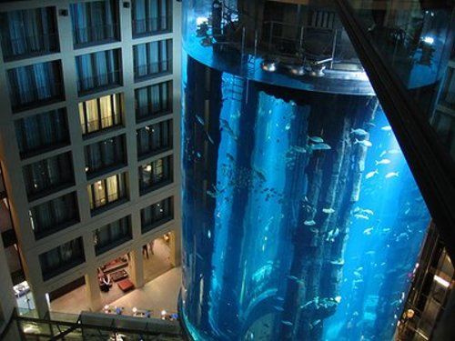 Amazing AquaDom Aquarium in Berlin