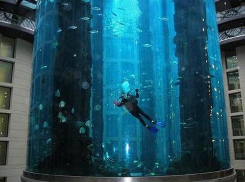 Amazing AquaDom Aquarium in Berlin