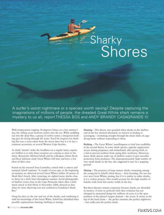 Most Disturbing and Unusual Pictures