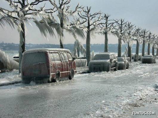 Most Disturbing and Unusual Pictures