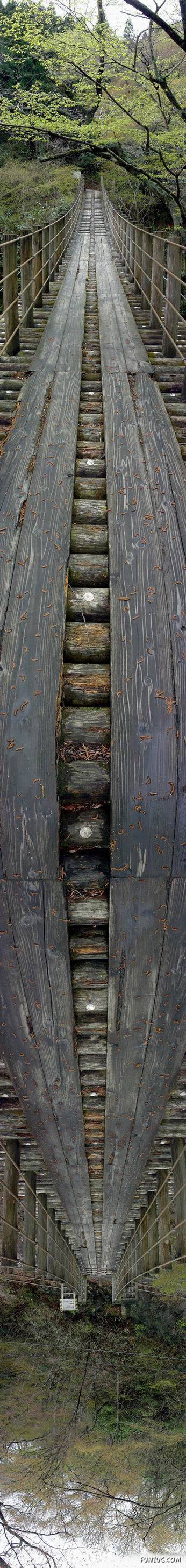 Most Disturbing and Unusual Pictures