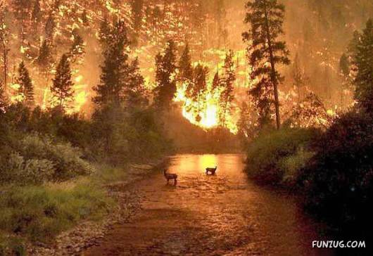 Most Disturbing and Unusual Pictures