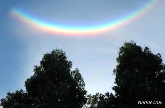 Most Disturbing and Unusual Pictures