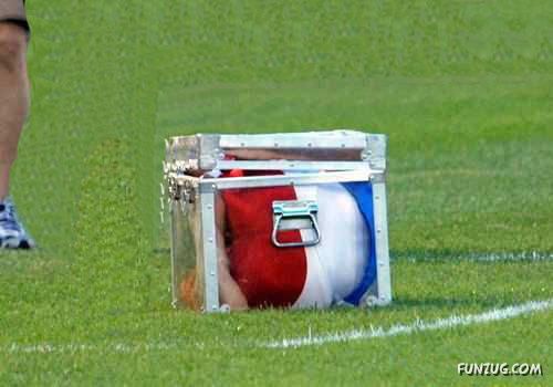 Amazing Elastic Person in a Box