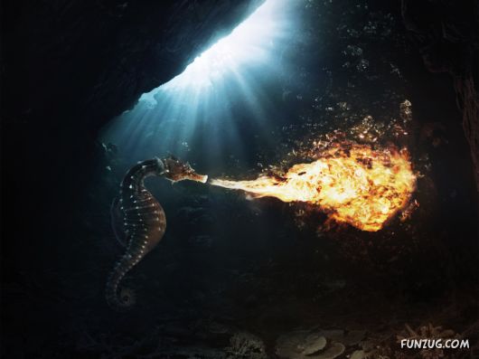 Unusual Fantasy Art Pictures