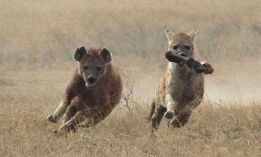 Jumping Art Cool Photography