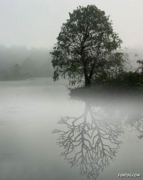 Unusual Reflections of Usual Things