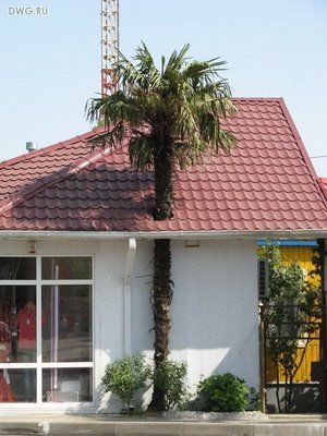 Strange Buildings Around the World