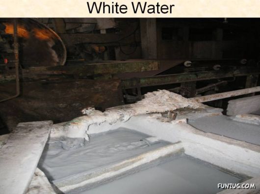 How Toilet Paper Is Made In China