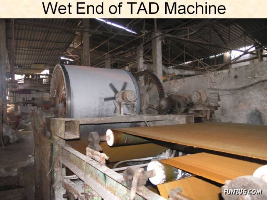 How Toilet Paper Is Made In China