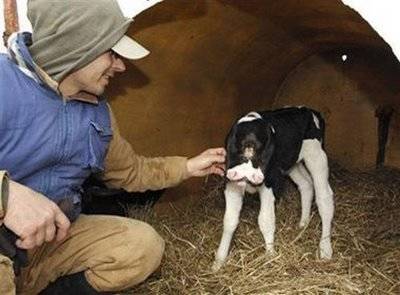 Weirdest Deformed Animals of the World