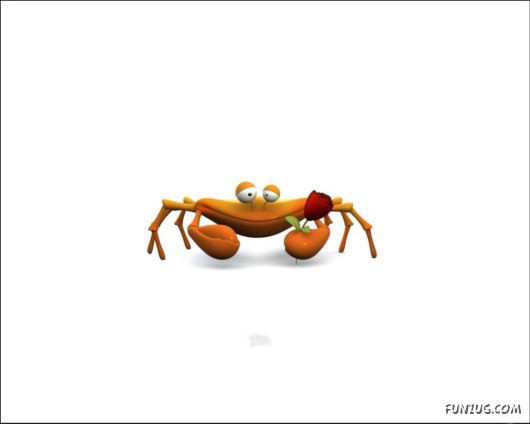 Click to Enlarge - Amazing 3D Animals Wallpapers