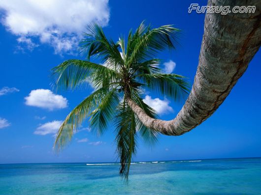 Click to Enlarge - Amazing IsLands WallPapers