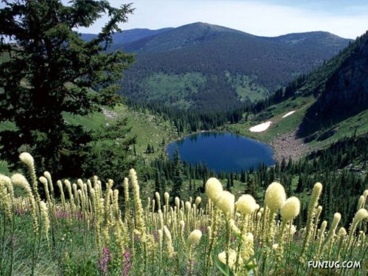 Click to Enlarge - Creative & Artistic Wallpapers