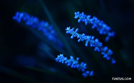 Click to Enlarge - Creative & Artistic Wallpapers