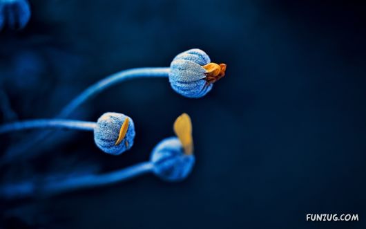 Click to Enlarge - Creative & Artistic Wallpapers