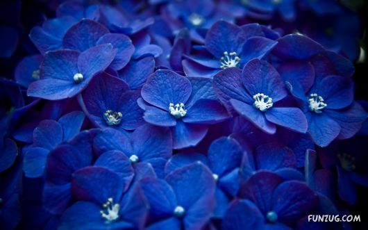 Click to Enlarge - Creative & Artistic Wallpapers