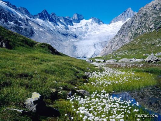 Click to Enlarge - Heart Touching Awesome Nature Pictures