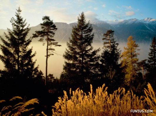 Click to Enlarge - Heart Touching Awesome Nature Pictures