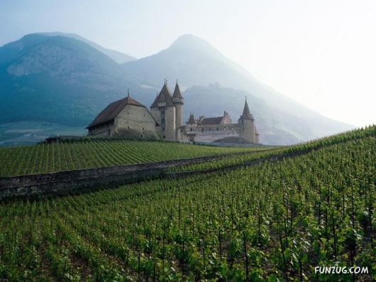 Click to Enlarge - Heart Touching Awesome Nature Pictures