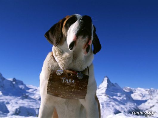 Click to Enlarge - Heart Touching Awesome Nature Pictures