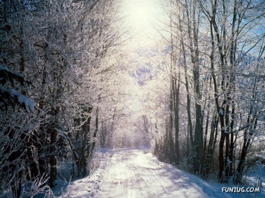 Click to Enlarge - Heart Touching Awesome Nature Pictures