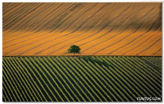 Click to Enlarge - Amazing Travel Landscapes of France