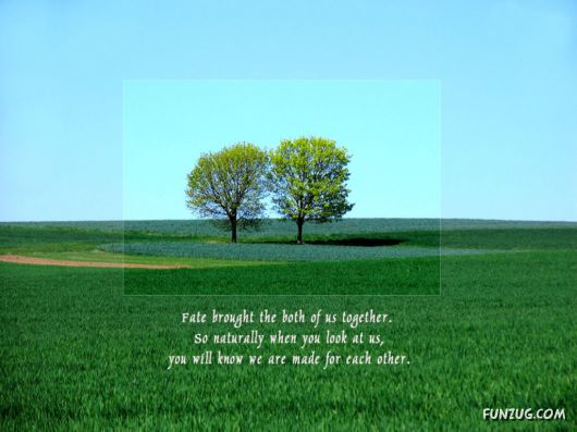 Click to Enlarge - Lovely Love Quotes Wallpapers