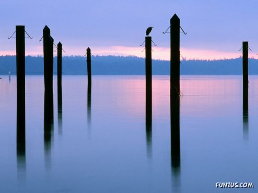 Click to Enlarge - So Lovely Nature Photoshots