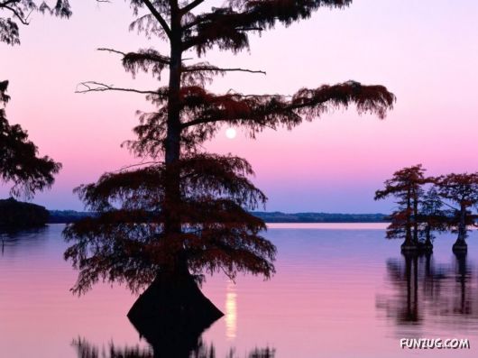 Click to Enlarge - So Lovely Nature Photoshots