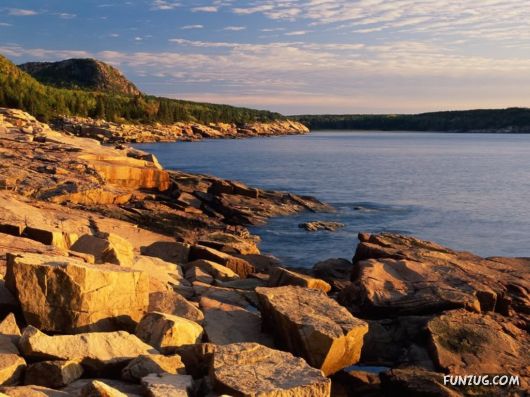 Click to Enlarge - So Lovely Nature Photoshots