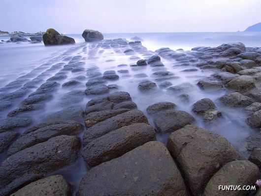 Click to Enlarge - So Lovely Nature Photoshots