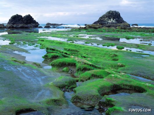 Click to Enlarge - So Lovely Nature Photoshots