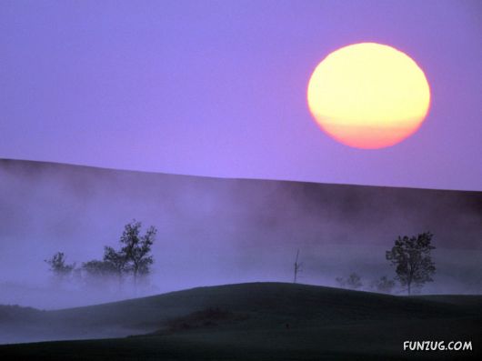 Click to Enlarge - So Lovely Nature Photoshots