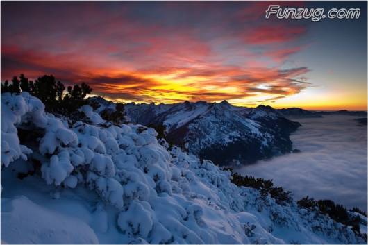 Click to Enlarge - So Lovely Nature Photoshots