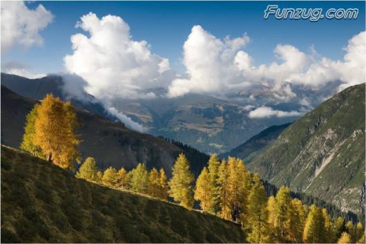 Click to Enlarge - So Lovely Nature Photoshots