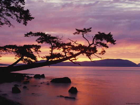 Click to Enlarge - Magical Earth Beautiful Wallpapers