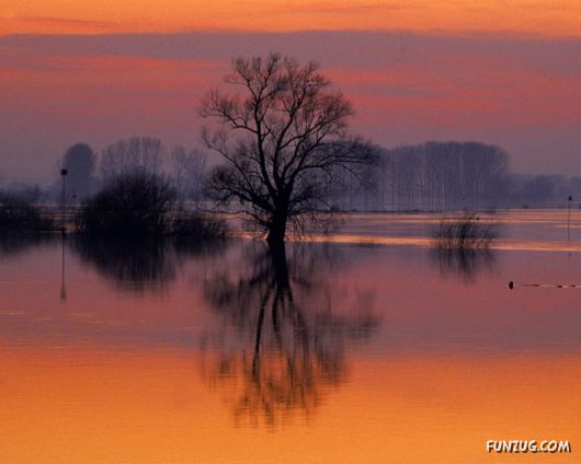 Click to Enlarge - Magical Earth Beautiful Wallpapers