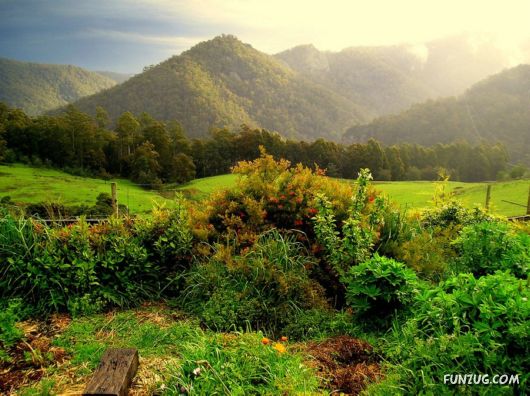 Click to Enlarge - Magical Earth Beautiful Wallpapers