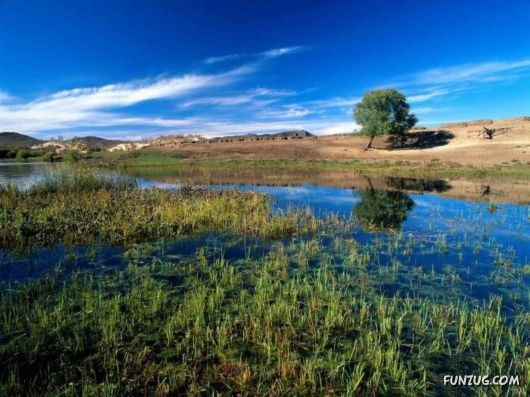 BeautifuL Nature Photography By Gordon McBryde